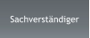 Sachverständiger
