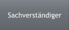 Sachverständiger